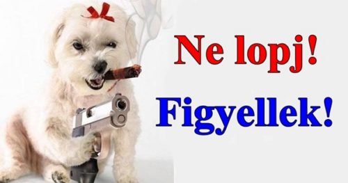 figyellek